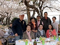 お花見